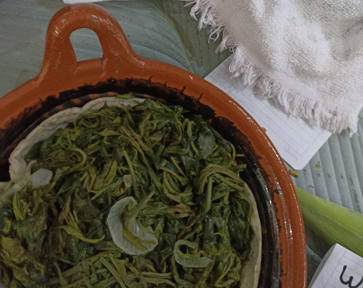 Comida 22